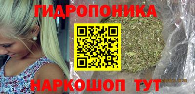 гашик Ставрополь