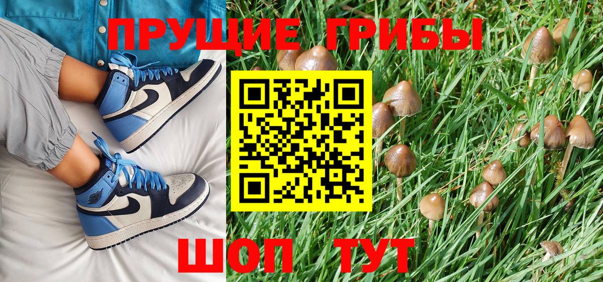 Псилоцибиновые грибы GOLDEN TEACHER Ногинск